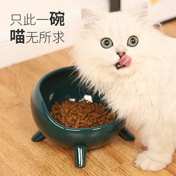 貓碗陶瓷貓食盆防打翻高腳雙碗幼貓喝水碗保護頸椎飲水器貓咪用品