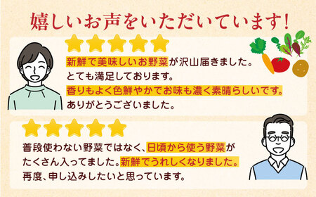 有機野菜 オーガニック 8種セット 詰め合わせ 野菜詰め合わせ 熊本県産有機野菜 山都町産有機野菜 産地直送 高原野菜 新鮮有機野菜 採れたて有機野菜 旬 有機野菜セット 有機野菜食べ比べ 九州産有機野菜 有機野菜 オーガニック[YAF015]