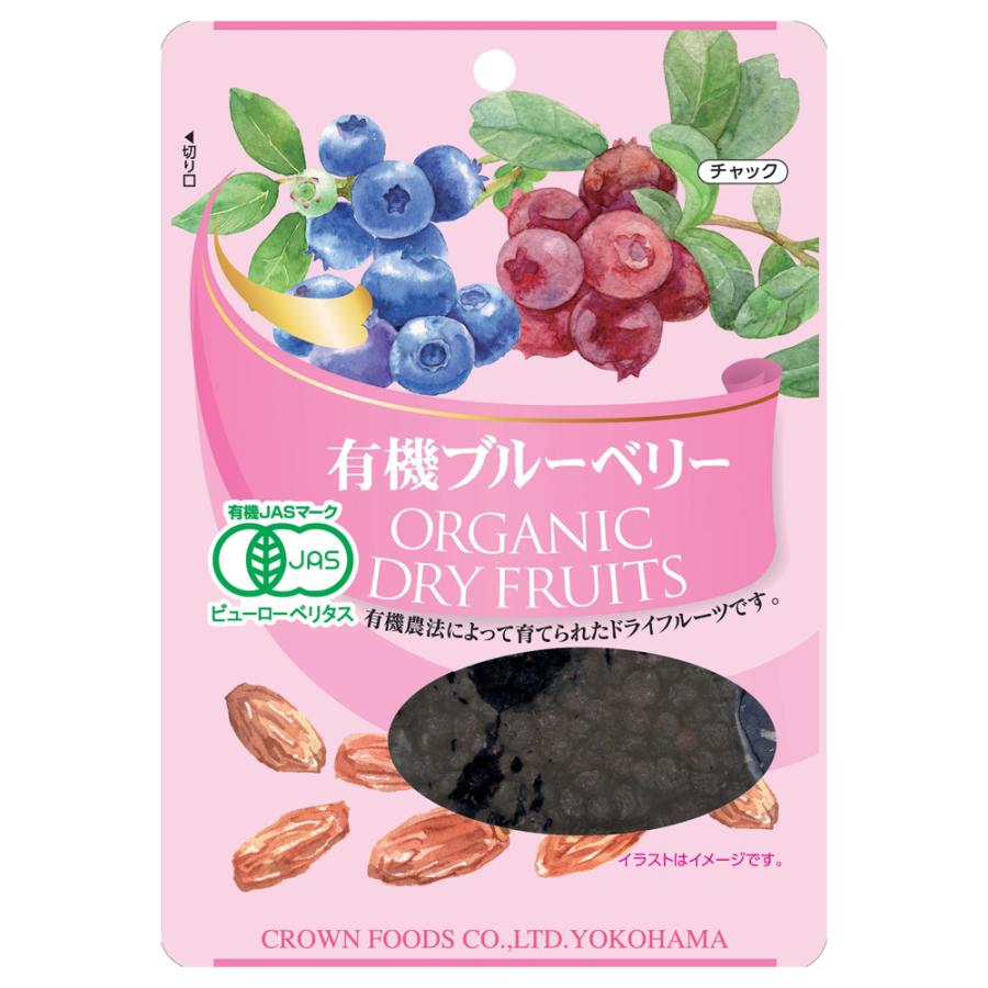 有機ブルーベリー45g オーガニック ドライフルーツ 製菓 製菓用 お菓子作り  (メール便可）