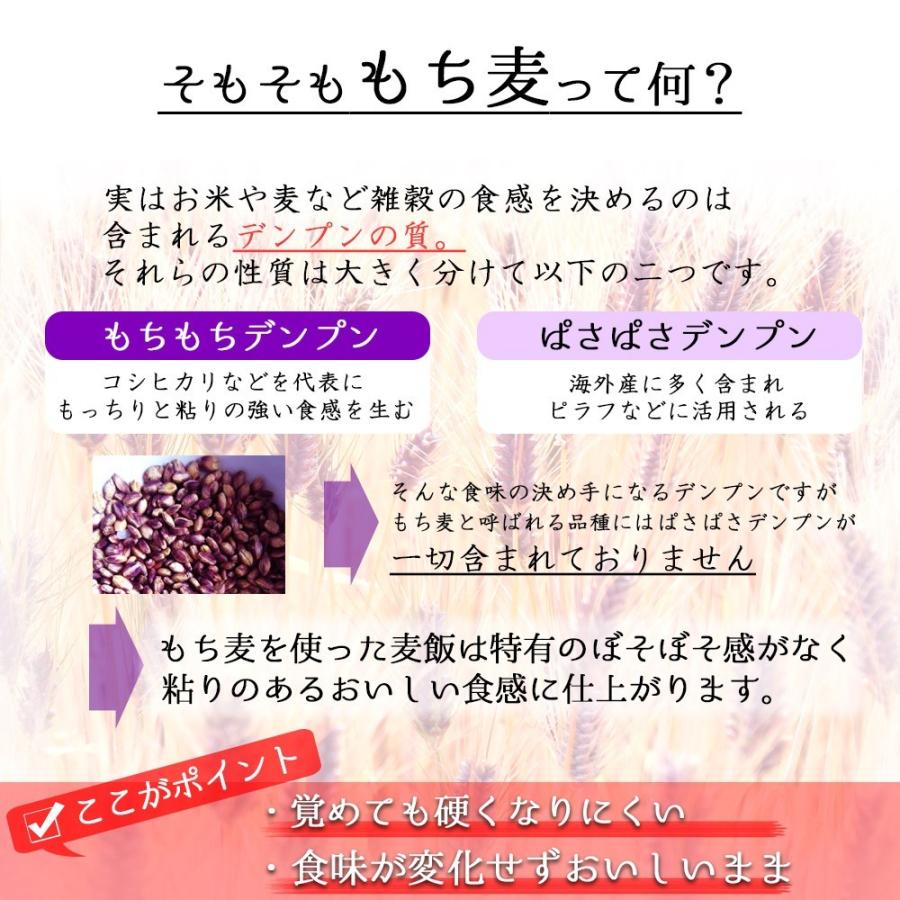 令和5年産 新麦 もち麦 ダイシモチ (950g×10袋) 岡山県産 お買い得パック 送料無料