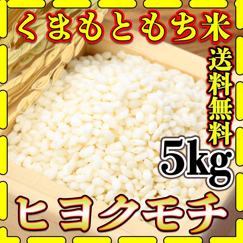 お米 米 5kg もち白米 送料無料 熊本県産 ヒヨクモチ あすつく 新米 令和5年産 5kg1個 くまもとのお米 富田商店 とみた商店