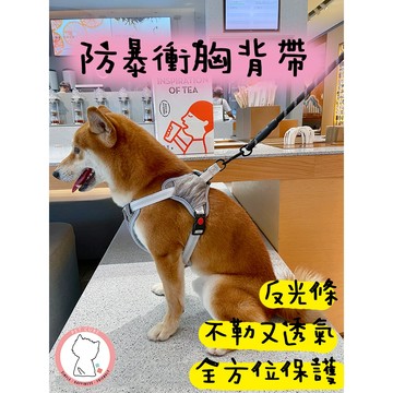 【汪喵森活】 寵物胸背帶 寵物胸背 寵物背帶 狗胸背帶 夜間反光 防暴衝 牽引繩 胸背帶 柴犬 柯基 法鬥 雪納瑞 貴賓