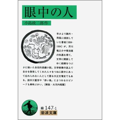 眼中の人 (岩波文庫 緑 147-1)