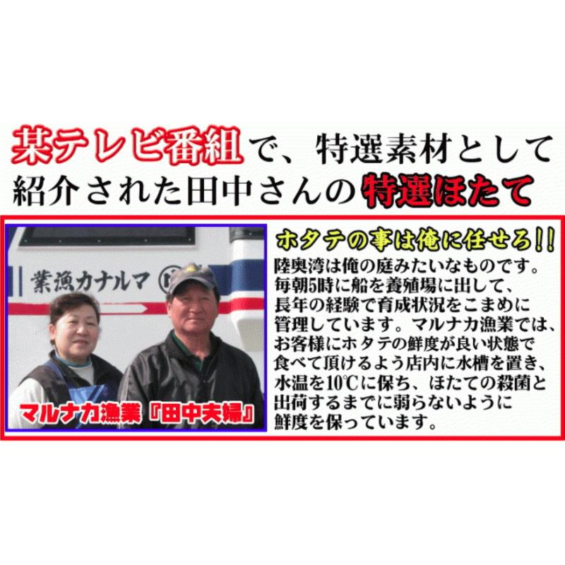 青森 ホタテ 殻付き 活ほたて 大サイズ3キロ 送料無料 青森 陸奥 貝柱が美味 ほたて 3kg（約12枚-18枚）お取り寄せ 海産