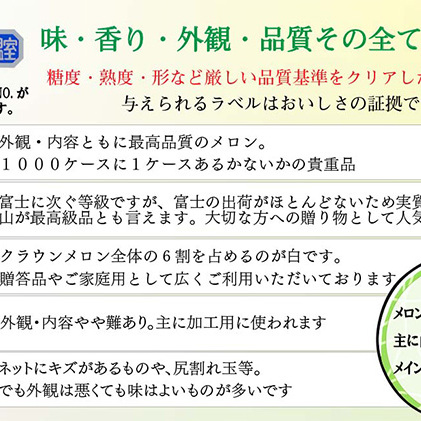 クラウンメロン 訳あり 3玉 定期便6ヶ月 メロン 人気 厳選 ギフト 贈り物 デザート グルメ 袋井市