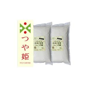 新米 令和4年産 山形県産 つや姫 10kg (5kg×2袋) 特別栽培米 (減農薬米・減化学肥料米)