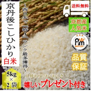 お米 令和4年産 １０kg 京都丹後産コシヒカリ  ５kg×２袋