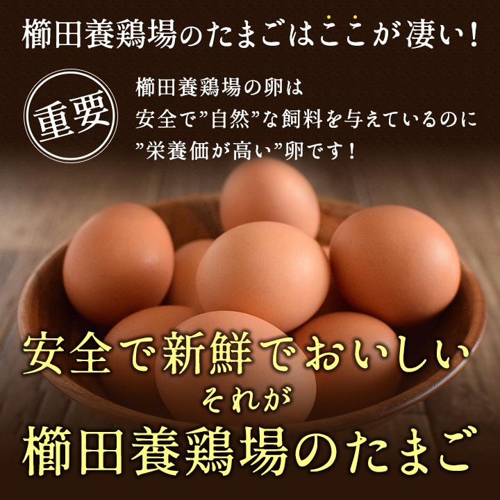 櫛田養鶏場 くしたま 10個入 (赤卵)