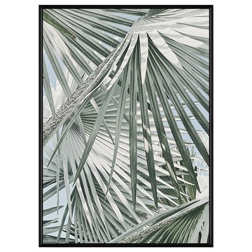 菠蘿選畫所 微光棕櫚掛畫 40 x 30cm 框架 - 北歐風掛飾  黑色