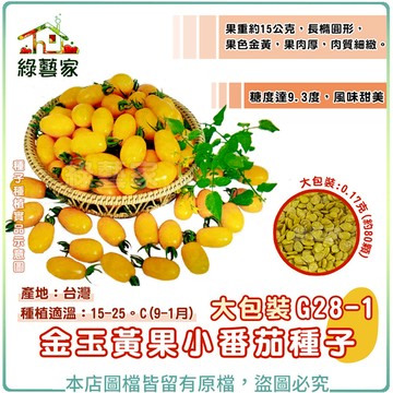 【綠藝家】大包裝G28-1.金玉黃果小番茄種子0.17克(約80顆)