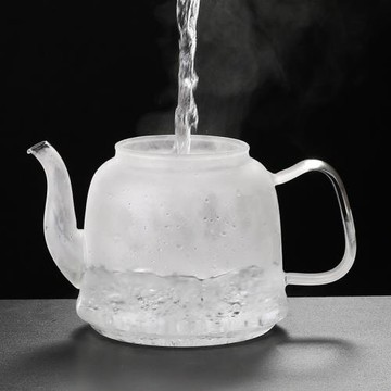 玻璃茶壺煮茶器煮茶爐蒸茶器燒水壺泡茶壺家用耐高溫功夫茶壺茶具