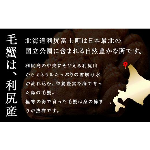 ふるさと納税 北海道 利尻富士町 利尻島産毛ガニ 小小サイズ（400g以上）2尾セット＜利尻漁業協同組合＞