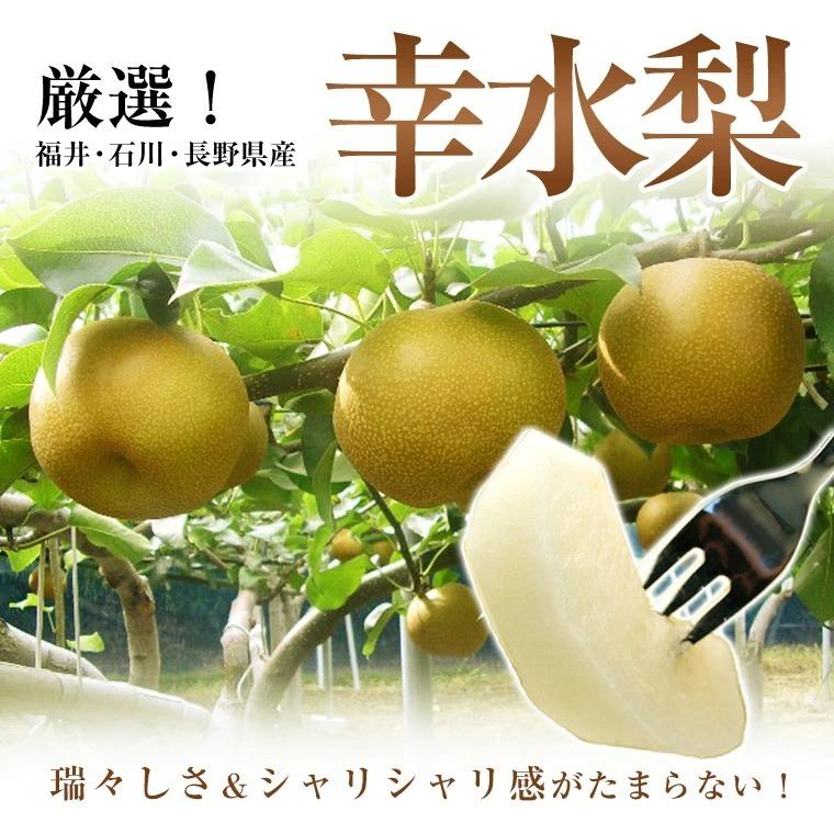 果物ギフト 食の宝石箱 フルーツセット３種ギフト化粧箱 果物 詰め合わせ  フルーツ 盛り合わせ