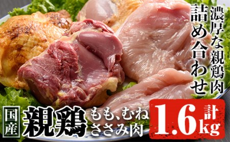 親鶏Ａセット合計1.6㎏! 肉 鶏肉 詰め合わせ  A-21