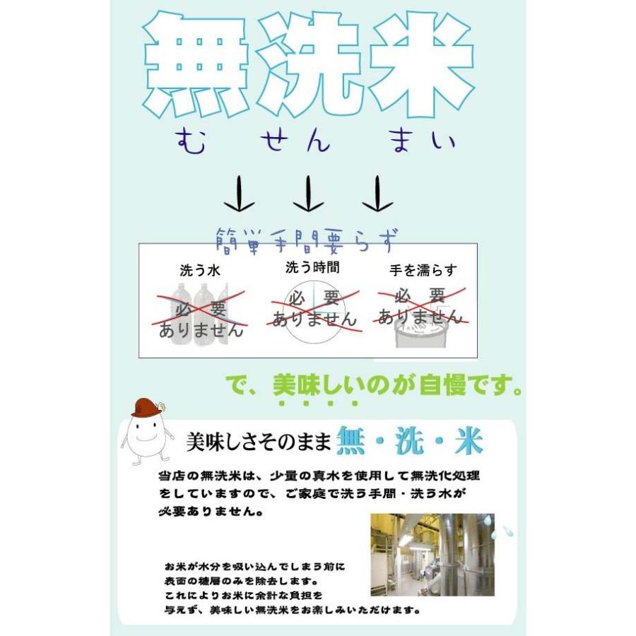 新米 令和5年産 無洗米 5kg×2 玄米 玄白飯 ひとめぼれ 10kg 送料無料 (玄米と白米を1:1でブレンド)（SL）