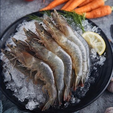 【愛尚豐饒】任-南美活凍生白蝦-850g-盒(約25~35隻) (1盒)