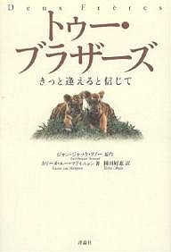 トゥー・ブラザーズ きっと逢えると信じて ジャン・ジャック・アノー カリーヌ・ルー・マティニョン 岡田好惠