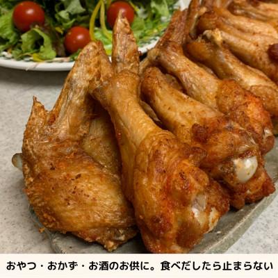 ふるさと納税 海陽町 各10本入り　阿波尾鶏　手羽先・手羽元唐揚げ　食べ比べセット