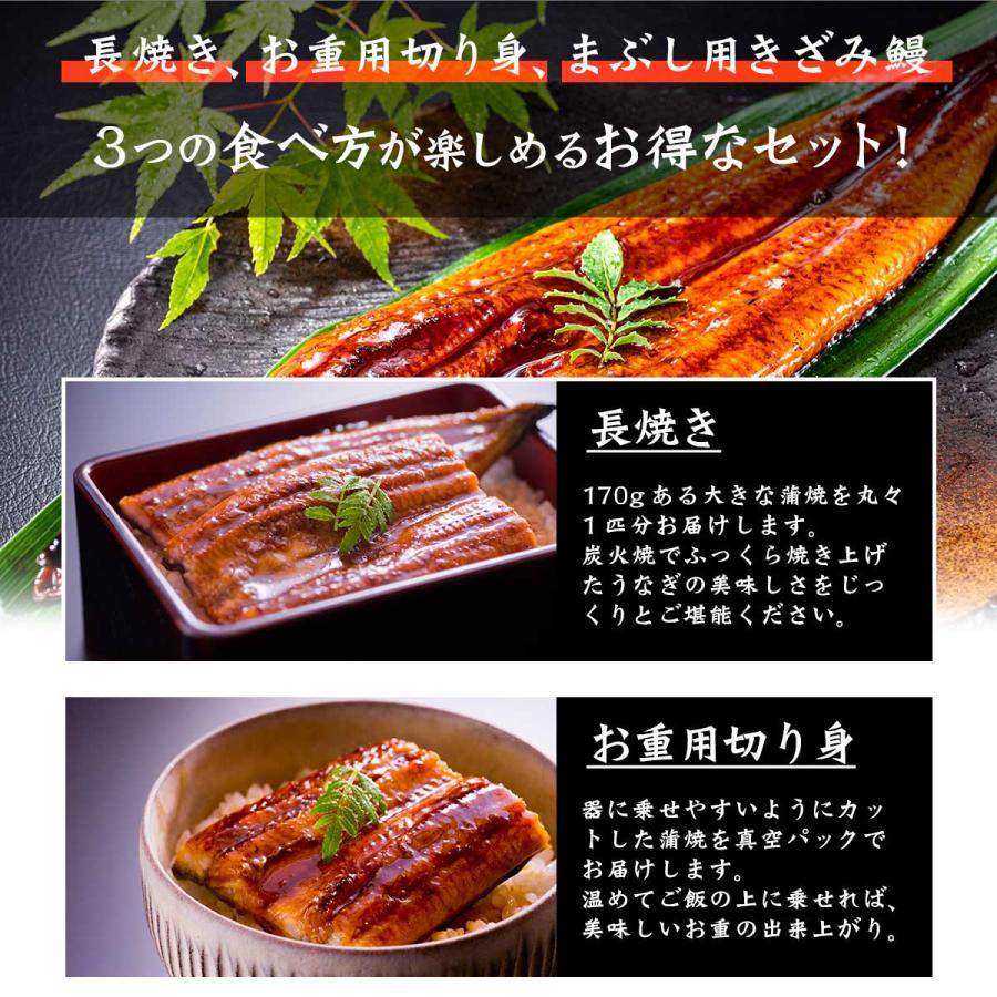 九州産うなぎ蒲焼き3種セット   とれたて 美味いもの市