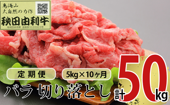 《定期便》10ヶ月連続 秋田由利牛 バラ切り落とし 5kg（1kg×5パック）