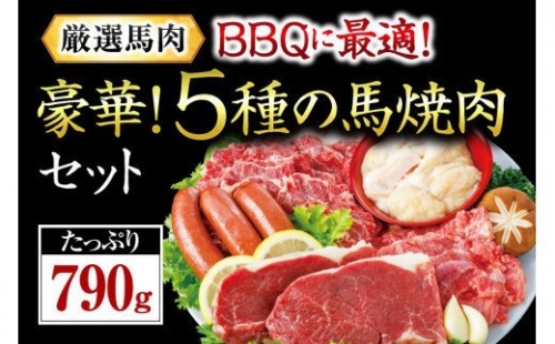 馬肉専門店の馬焼肉 5種セット 790g