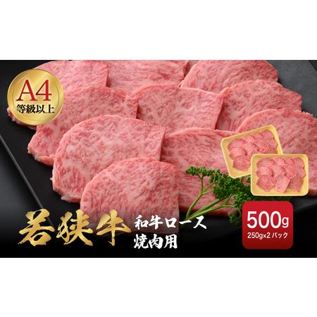 ふるさと納税 若狭牛 和牛ロース焼肉用 計500g （250g ×2パック）福井県産 ロースA4等級 以上を厳選！【牛肉 黒毛和牛 黒毛 和牛 冷凍 小分.. 福井県越前町