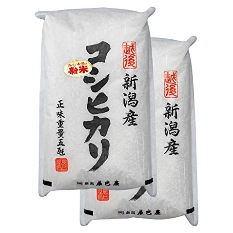 精米新米 新潟県産コシヒカリ 白米 10kg（5kg×2袋）令和3年産 新潟辰巳屋（産地直送米）… (10kg)