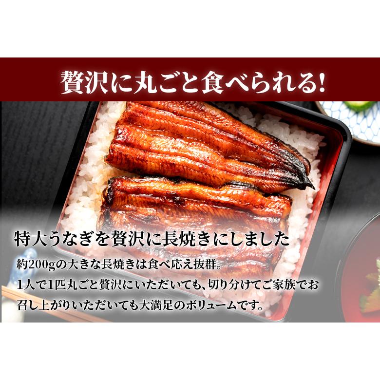 うなぎ 鰻 蒲焼 200g× 2尾 たれ付き 冷凍 土用 丑の日 特大 贈り物   2023 プレゼント ギフト