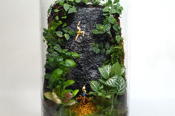 【微景觀】蘚地試煉 - 苔蘚組盆/交換禮物/攀岩/生態瓶