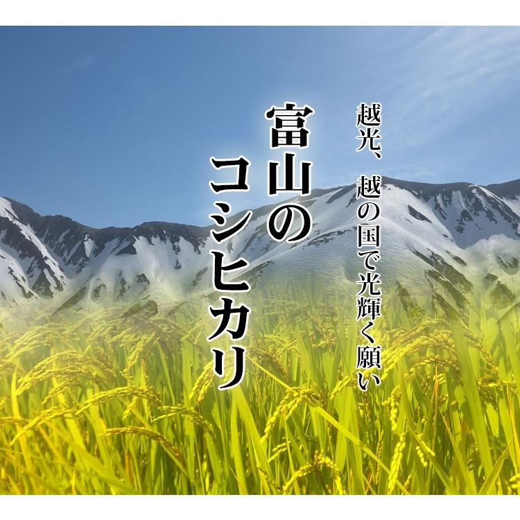 新米 お米 20kg 送料無料 白米 コシヒカリ 5kg×4袋 富山県産 令和5年産 お米 20キロ 食品 北海道・沖縄は追加送料