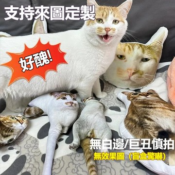 升級客製化抱枕 客製寵物抱枕 貓咪抱枕 貓咪玩偶 小狗抱枕 異形抱枕 巨醜玩偶抱枕 惡搞抱枕 來圖客製 禮物 交換禮