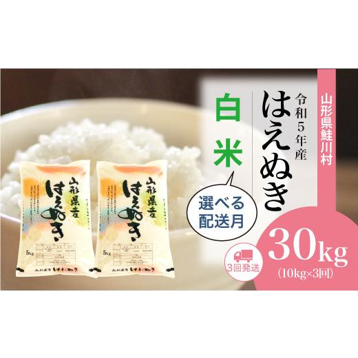 ＜令和5年産＞ 鮭川村産 はえぬき  定期便 30kg （10kg×1ヶ月間隔で3回お届け）