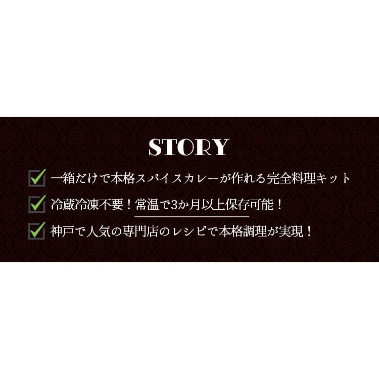 カレー 作れる！本格スパイスカレー完全料理キット 1箱 送料無料