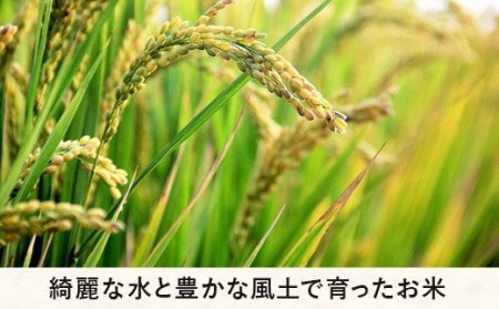 信州のお米 食べくらべ セット 3品種 合計 9kg 沖縄県への配送不可 ふるさと振興公社 長野県 飯綱町 [0747]