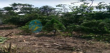 屏東萬巒便宜農地｜屏東縣萬巒鄉萬金段