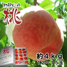 桃(白鳳) 12玉～15玉入り　約4kg