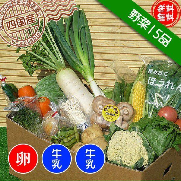 産直あきんど厳選野菜の詰め合わせ15品 牛乳2本 たまご10個セット　送料無料