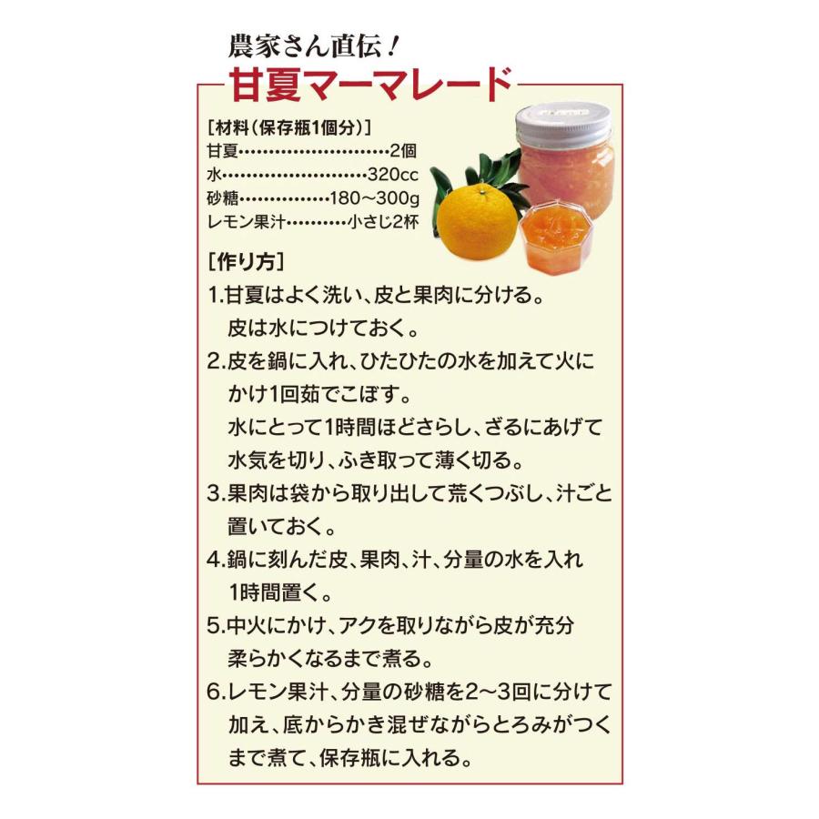 紅甘夏 べにあまなつ みかん 5kg 農家直送 ＜2月上旬より順次出荷＞ 送料無料 熊本県産 果物 フルーツ 大嶌屋（おおしまや）