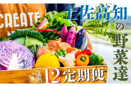 ★北海道・沖縄配送不可★高知の新鮮野菜セット／旬の野菜を味わう12ヵ月便