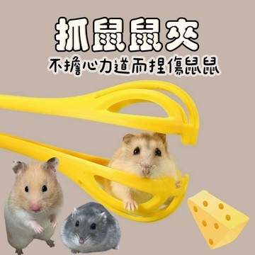 哈密兔事·抓鼠夾｜倉鼠互動夾·倉鼠專用夾·天竺鼠倉鼠用品·天竺鼠用品·抓倉鼠夾