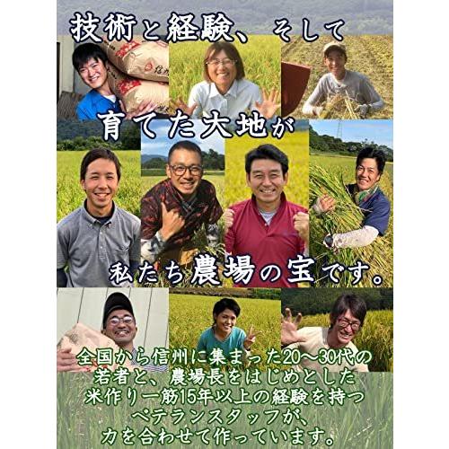  信州産 こしひかり 15kg（5kg×3） 令和3年産