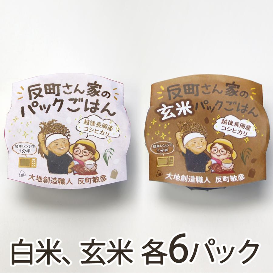 パックごはん 2種12パック入り（白米、玄米 各6パック） 大地創造職人 反町敏彦 送料無料