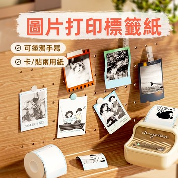新款🚀精臣B21-pro 專用標籤貼紙 圖像打印 圖片相片自印小卡 手賬 防水簡筆畫 可塗鴉 標籤紙