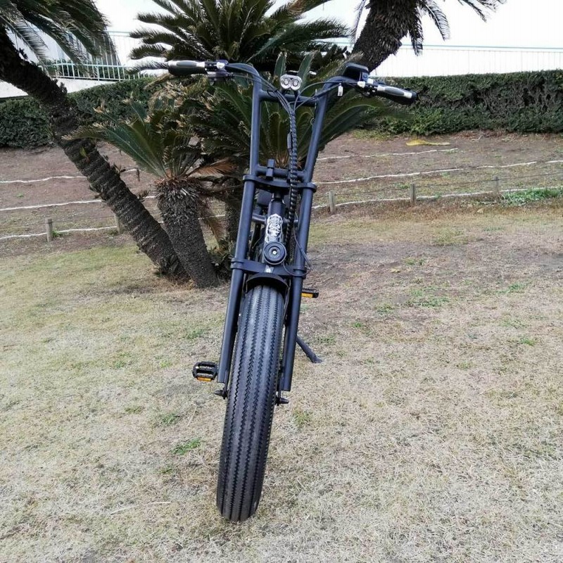 BUGGS BIKE 20inch ASSIST-BUGGY（The best electric bikes of
