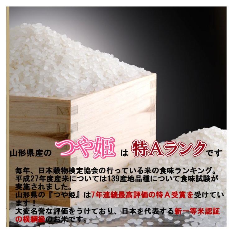 白米 10kg (5kg×2) 山形県産 特別栽培米 つや姫 米 お米 精米済 令和5年（送料無料）