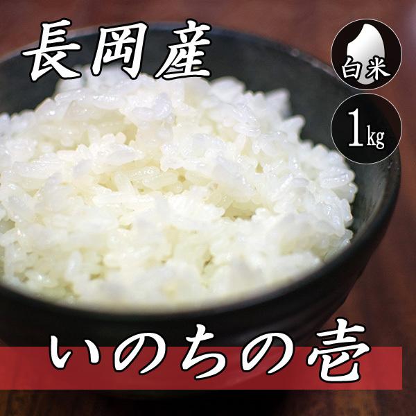 お米 1kg 新潟県長岡産 いのちの壱 1kg×1袋 令和5年産米 白米