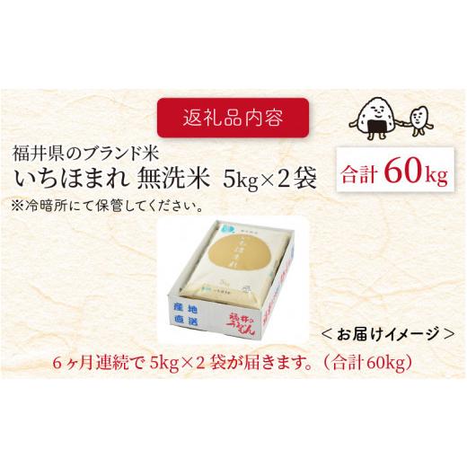 ふるさと納税 福井県 坂井市  定期便 ≪6ヶ月連続お届け≫ 福井県のブランド米 いちほまれ 無洗米 10kg × 6回 計60kg【 無洗米 人気 品種 …