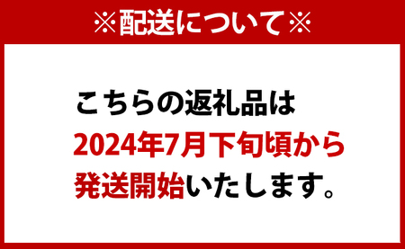 徳之島 天城町産 完全無加温 完熟 マンゴー Ａ品 2kg 贈答