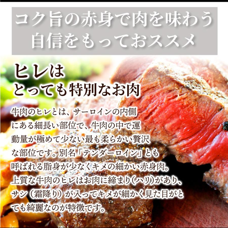 牛肉 ヒレ ステーキ 詰め合わせ 100g×2枚セット 赤身 牛 ヒレ肉 バーベキュー BBQ グルメ お歳暮 ギフト 食品 プレゼント キャンプ キャンプ飯