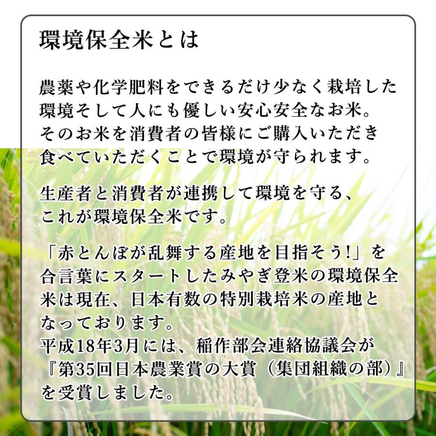 新米 米 お米 5kg 特別栽培米 ササニシキ 環境保全米 宮城県 登米産 玄米 5キロ お米マイスターが選ぶ米 令和5年度 米5kg 選べる 精米 3分 5分 7分 白米